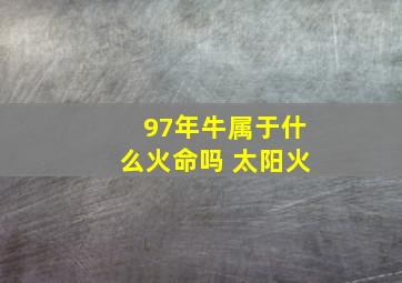 97年牛属于什么火命吗 太阳火